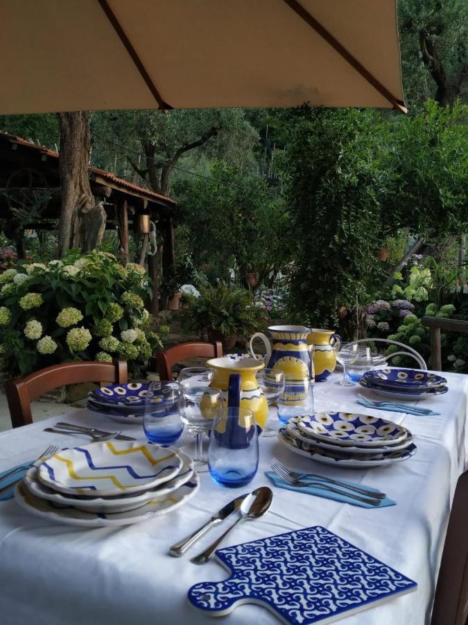 Da Rosali Bed & Breakfast Sorrento Dış mekan fotoğraf